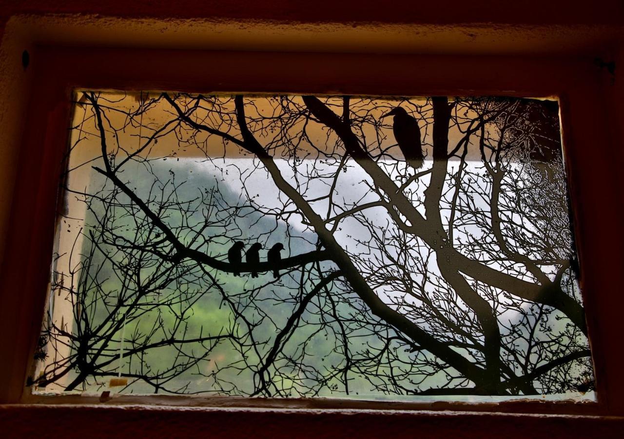Beau Vallon - Gite Et Chambres D'Hotes Pyrenees-Mediterranee - Pays Catalan Sahorre Bagian luar foto