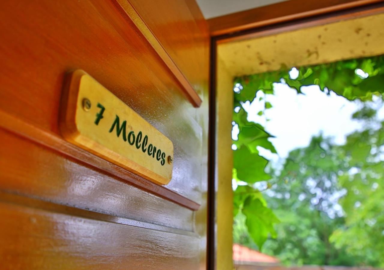 Beau Vallon - Gite Et Chambres D'Hotes Pyrenees-Mediterranee - Pays Catalan Sahorre Bagian luar foto